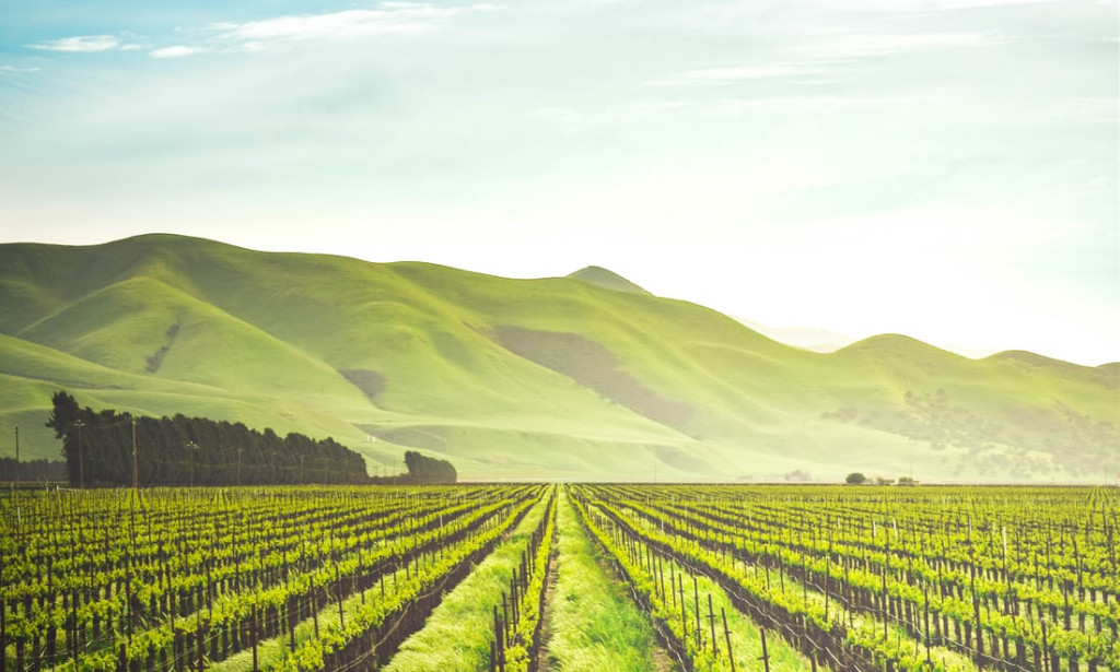 Utilization of food and agricultural waste