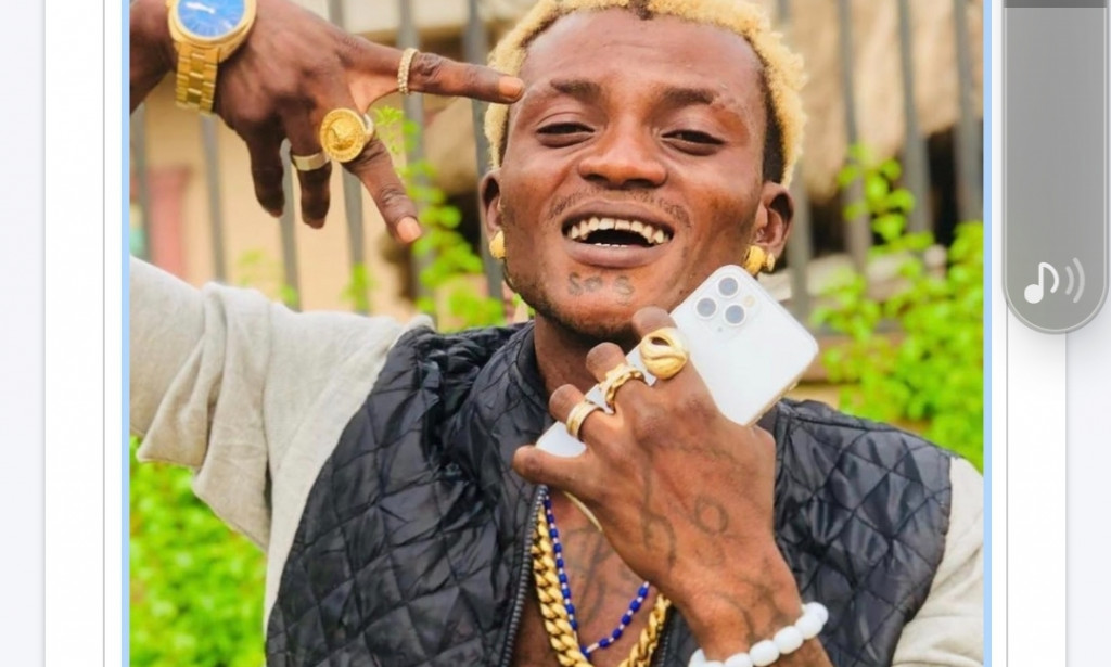 I have two sons from different mothers, singer Portable reveals