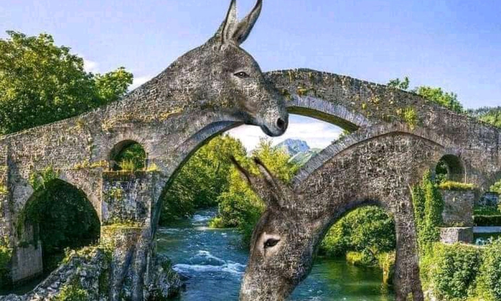 NATIVE WISDOM AT PLAY