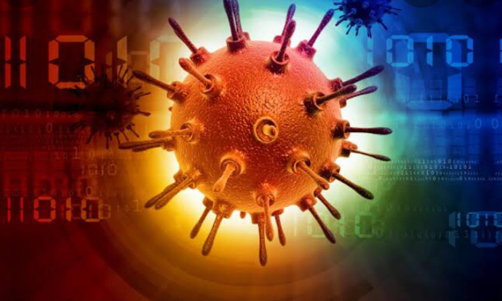 Tips to avoid Computer Viruses and lessen their impact.