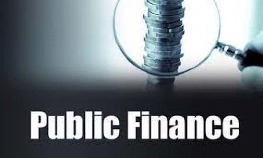 THE ROLE OF PUBLIC FINANCE