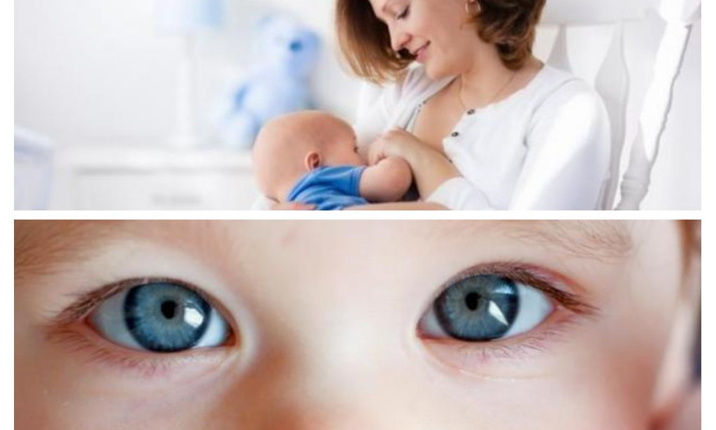 Babies do not see colors like adults. This is how they see the world