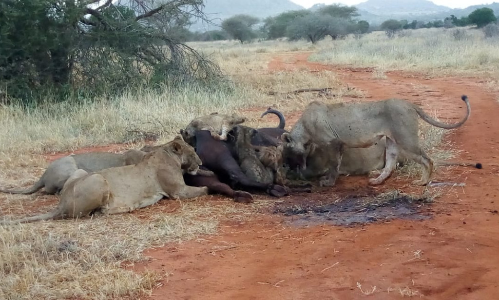 EMBARRASSING  MOMENTS