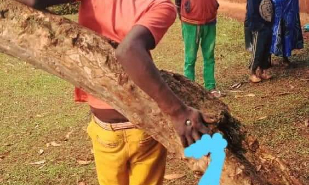 The vihiga boy nailed is now recovering