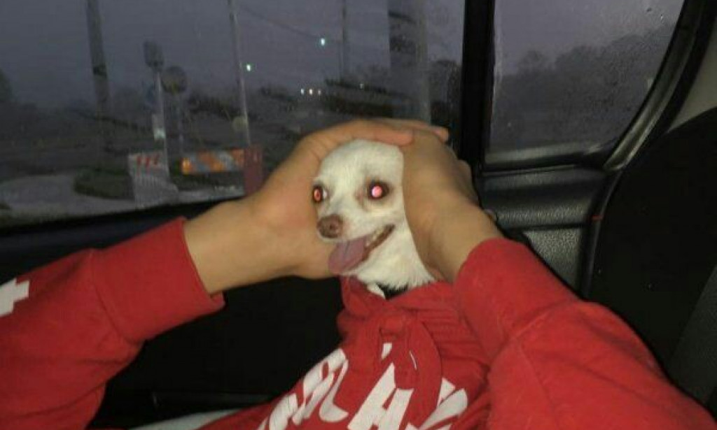 Let's Bet These Pictures Are So Funny