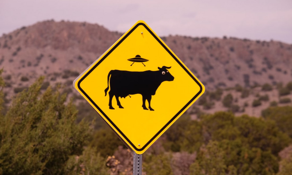 7 weird jobs, you never knew.