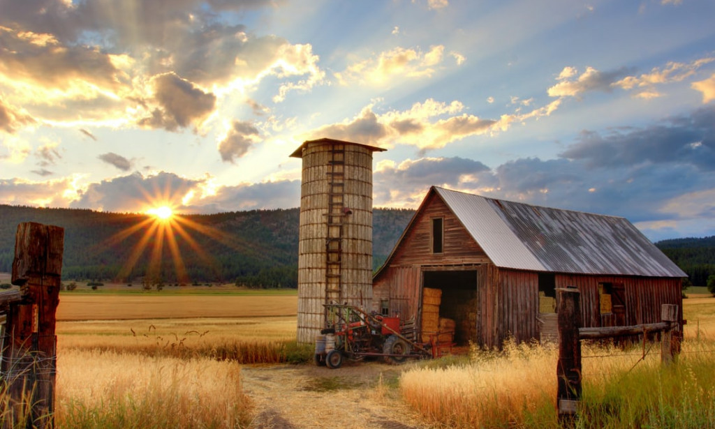 THE SITUATION OF MY COUNTRY