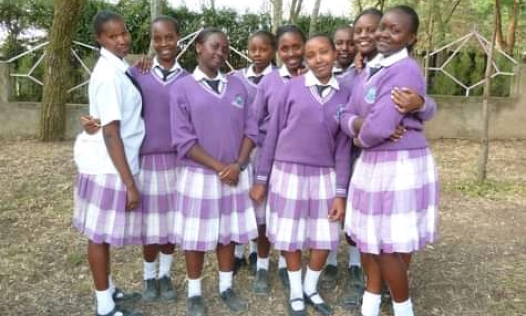 A student guide(know your friends)