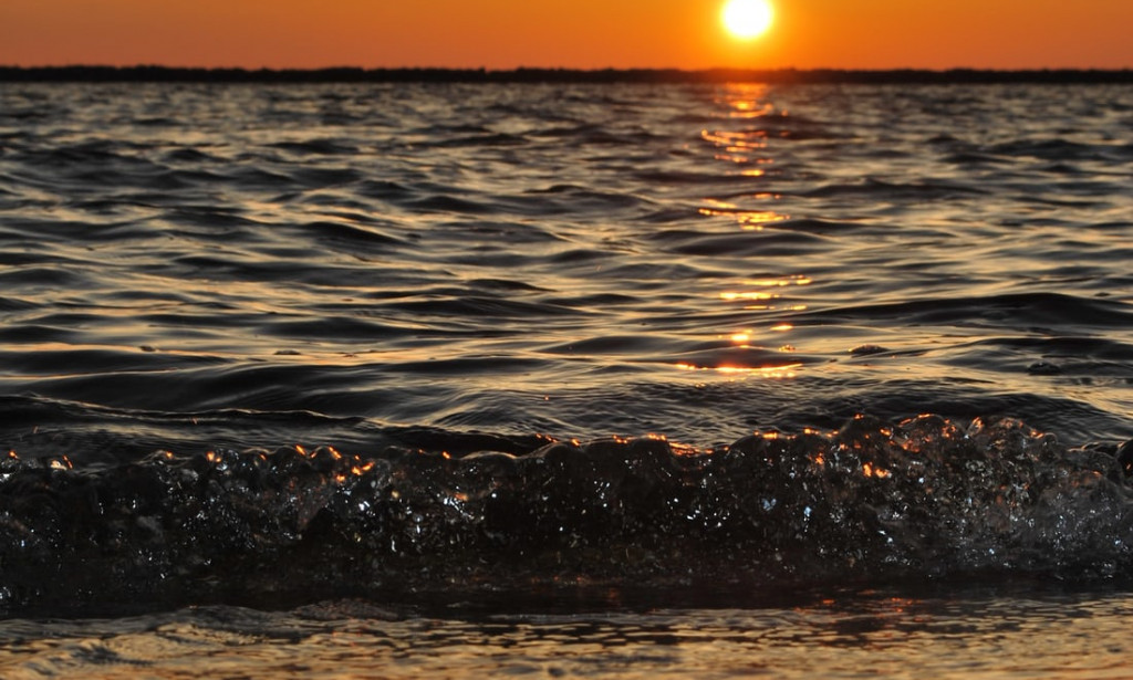 The Top 10 richest people in the world and their networth 2022