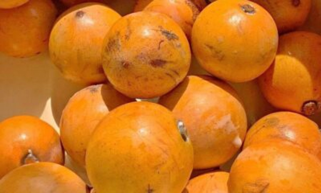 Most people don't know the English name of this native Naija fruit
