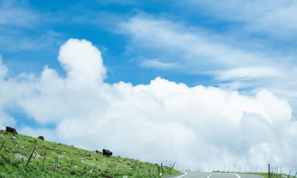 The Key to Success: How to Be Successful in Any Endeavor