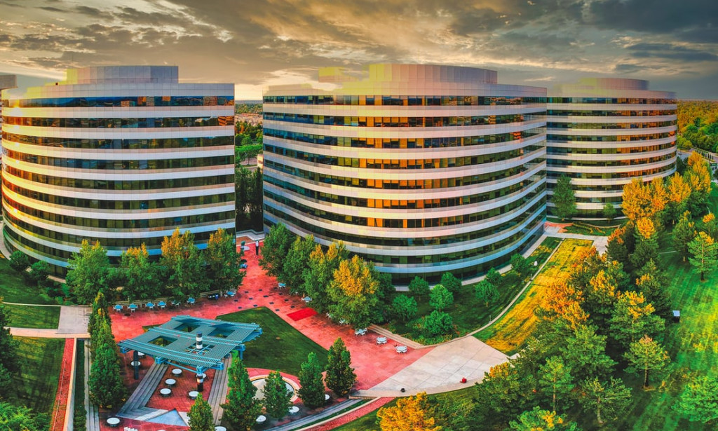 Gifted hands and skills