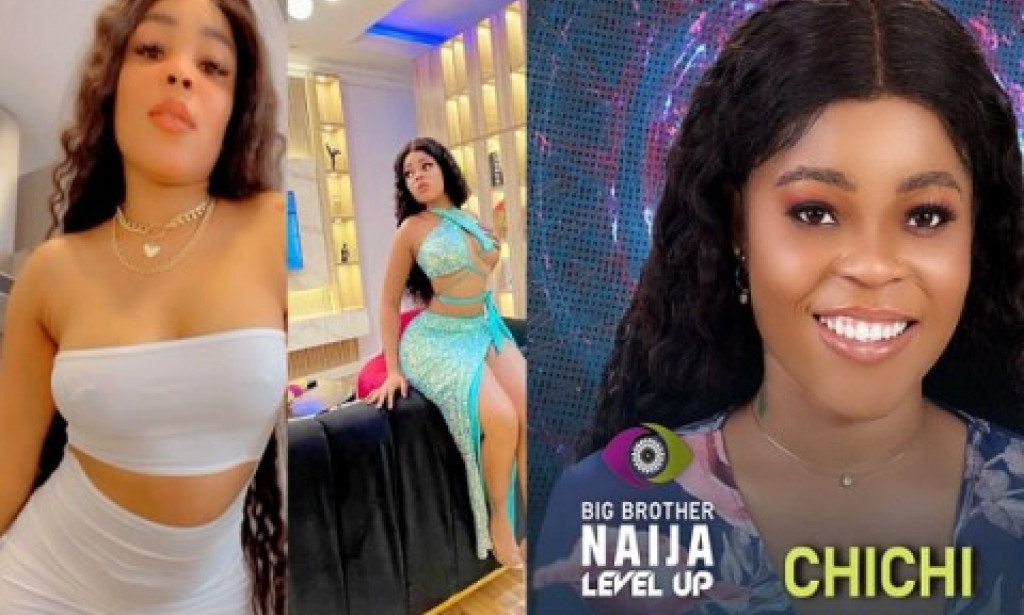 See the housemates that said she is a professional stripper BBNaija
