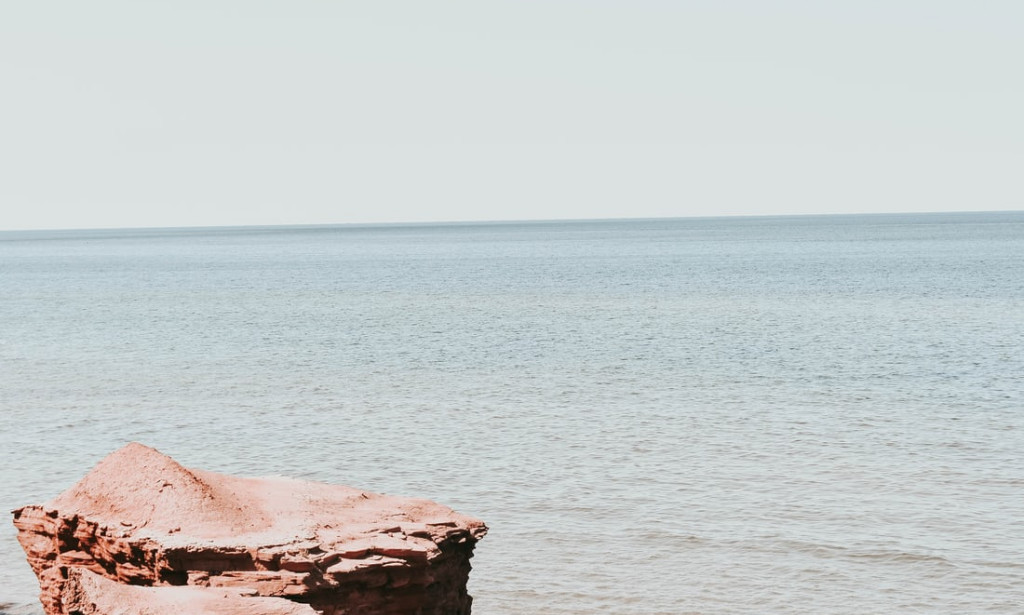 HOW SHOULD CHURCH FUNCTION