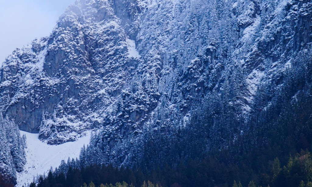 Winter and Sumer are the Signal of the Season.