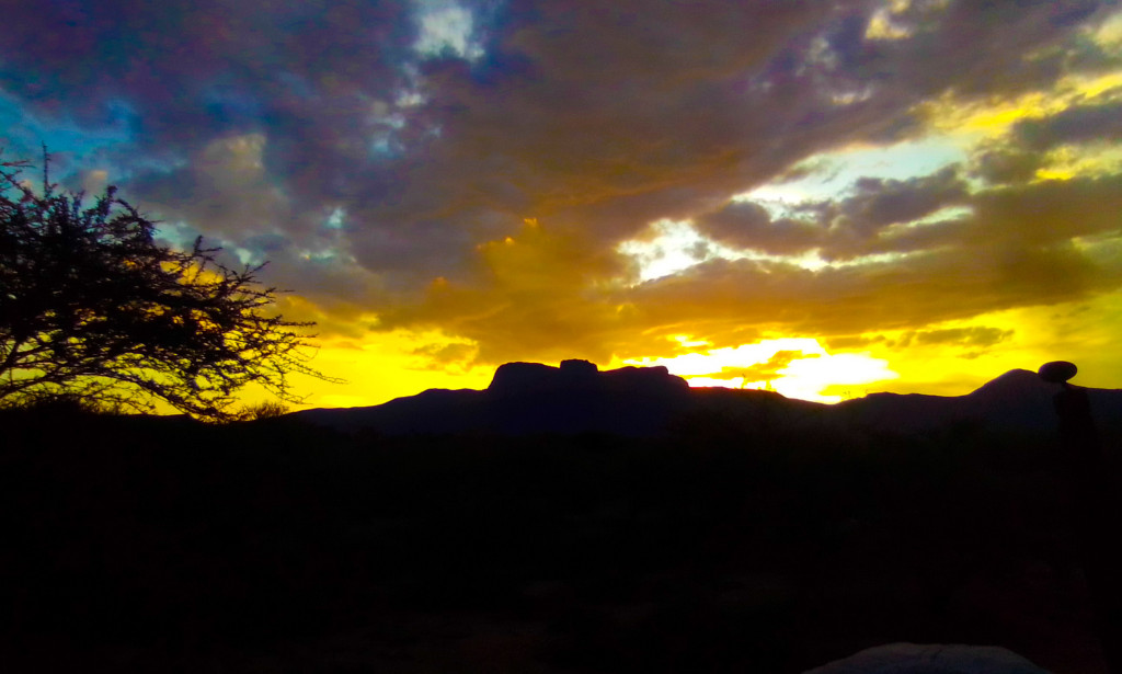 Embracing the beauty of talent