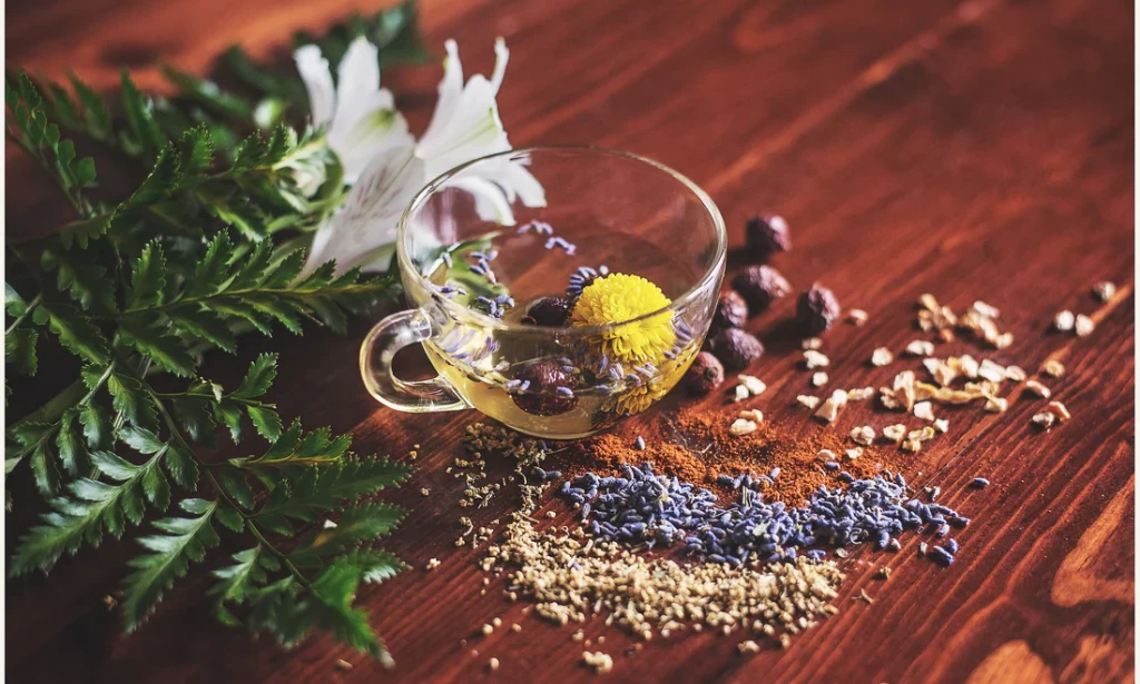 HERBAL REMEDY TO FALLOPIAN TUBE.