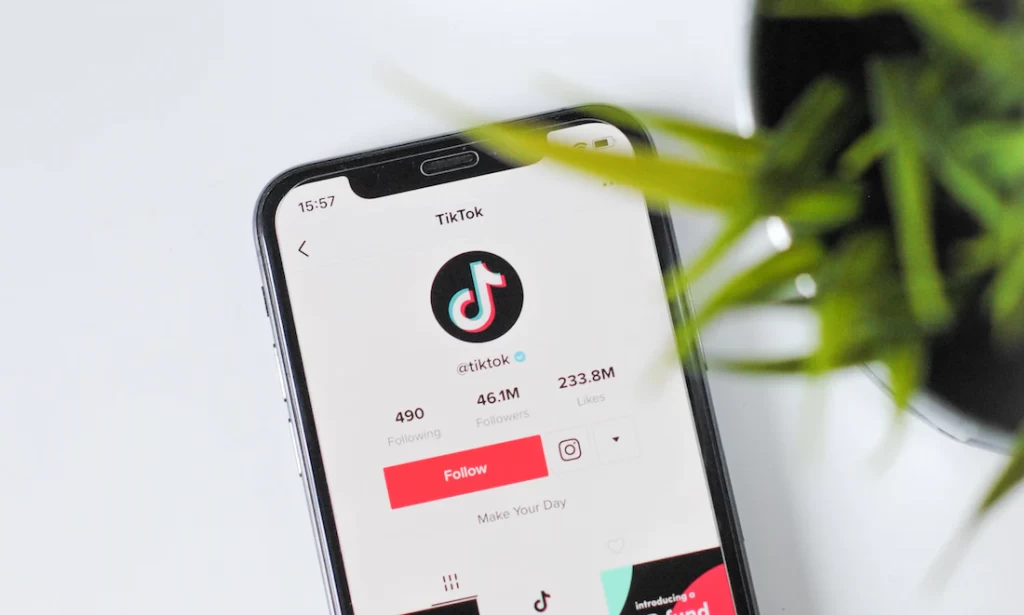 How to increase your TikTok following without spending and money.