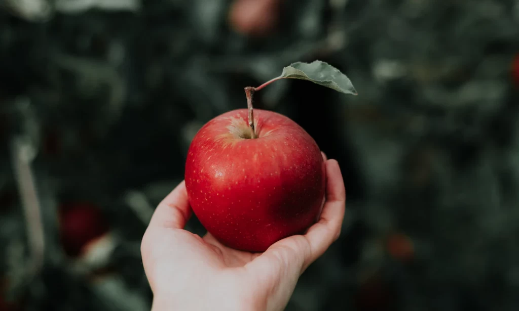 Apple Medical advantages that Nobody Has Told You previously.