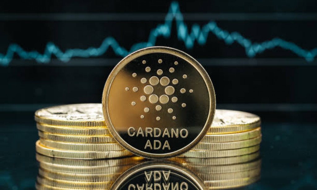 Why Cardano Holders May Smile Even Before Basil Rolls Out.