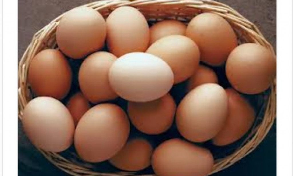 WHAT 1 EGG DAILY CAN DO TO YOUR BODY