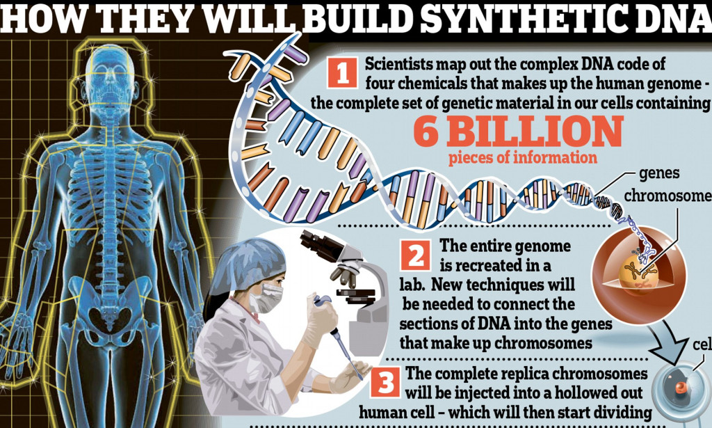 Building Artificial Cells (Protocells) from the Bottom Up – Ersatz Evolution