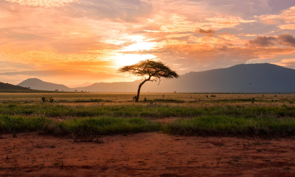 Africa and a world economy