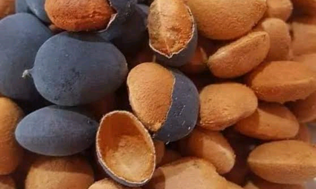 Five Shocking Health Benefits Of Black Velvet Tamarind (LickiLicki) You Should Not Ignore