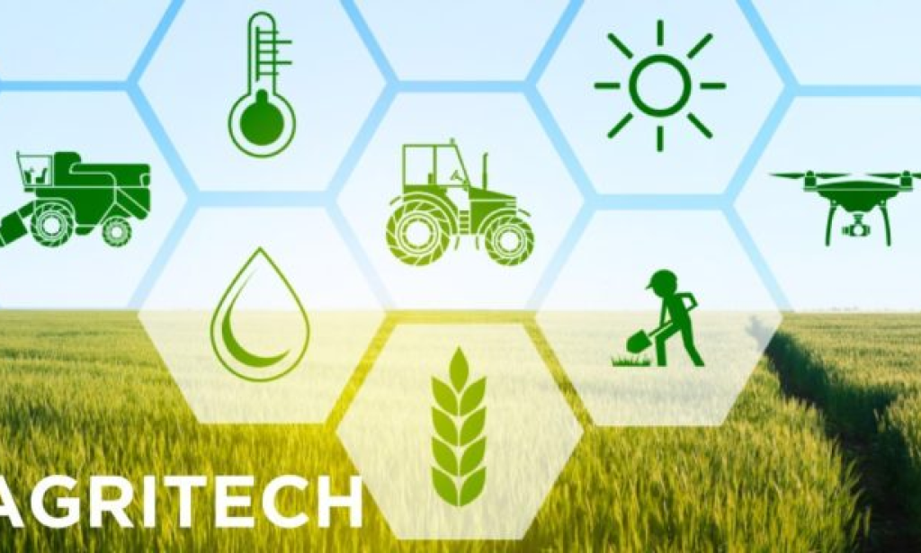 How Agritech Startups Are Changing Agricultural Industry?