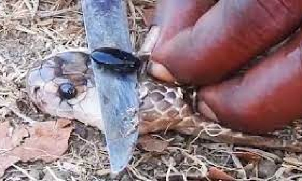 Beliefs In Snake-Stone