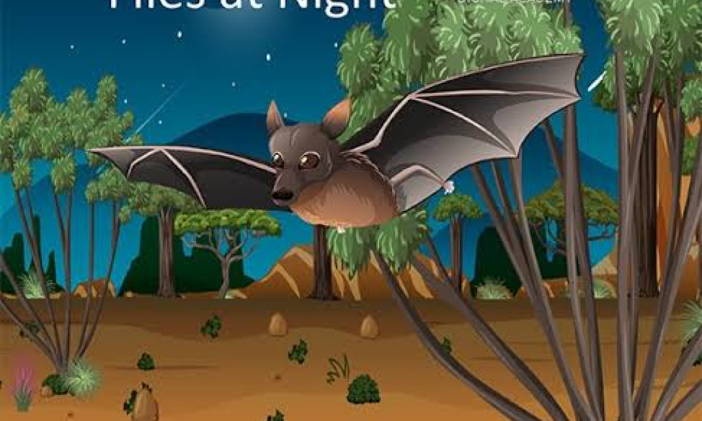 Nighttime habits of bats.