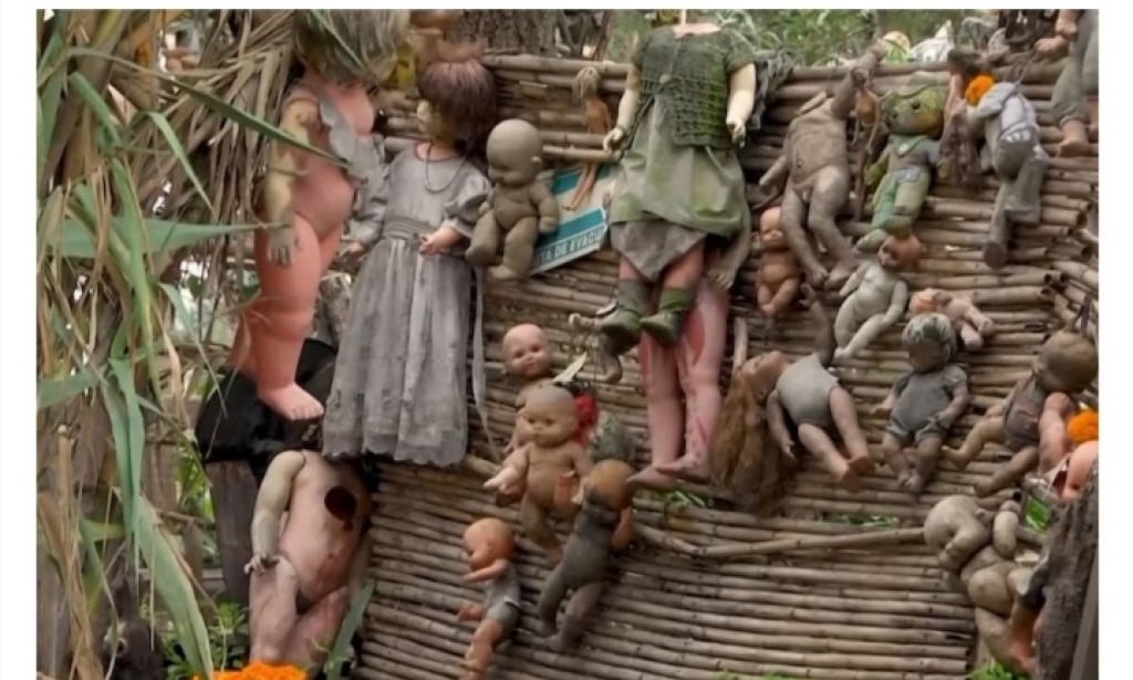 Beyond the Horror: The Fascinating Story Behind Mexico's Island of Dolls