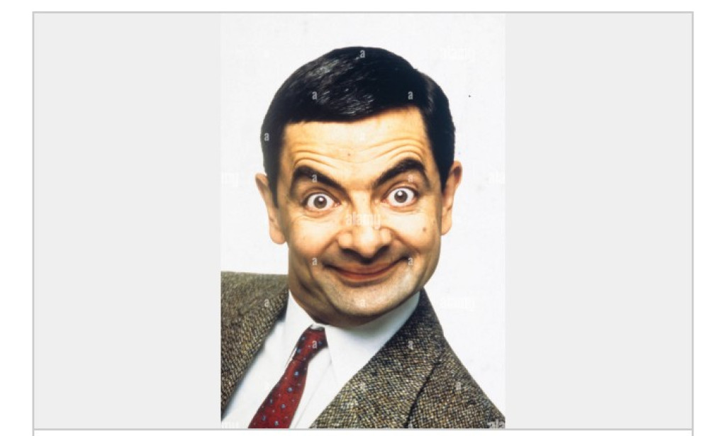 THE BIOGRAPHY OF MR ROWAN ATKINSON