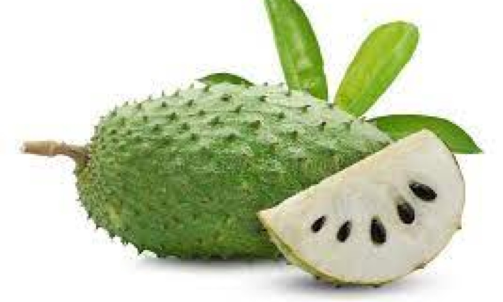 Health benefits of soursop fruits in managing hypertension