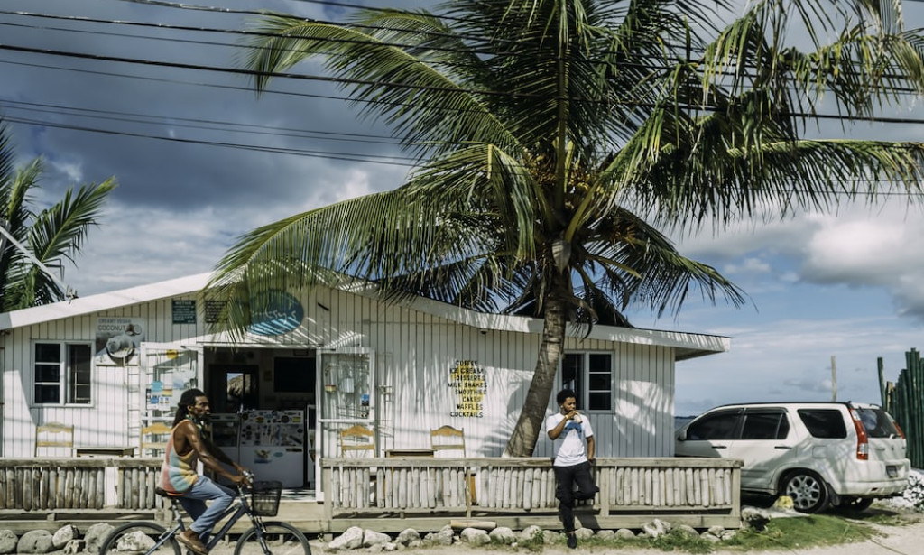 A Closer Look at the Jamaican Government: Progress and Challenges