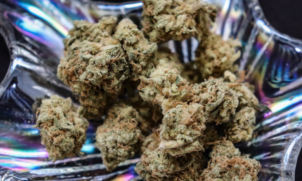 THE IMPORTANCE OF NEEM