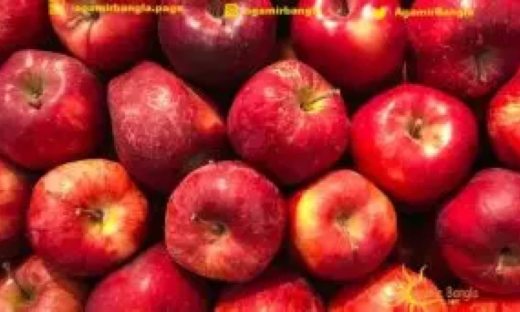 Benefits of Apples And Methods of Cultivation