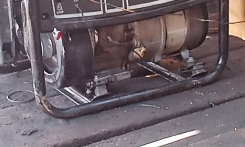 Gas & fuel carburetor