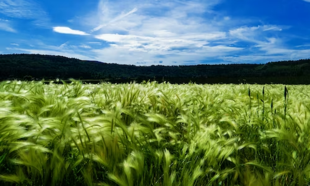 BOUND BY FATE: STONEMAN  SYNDROME 1