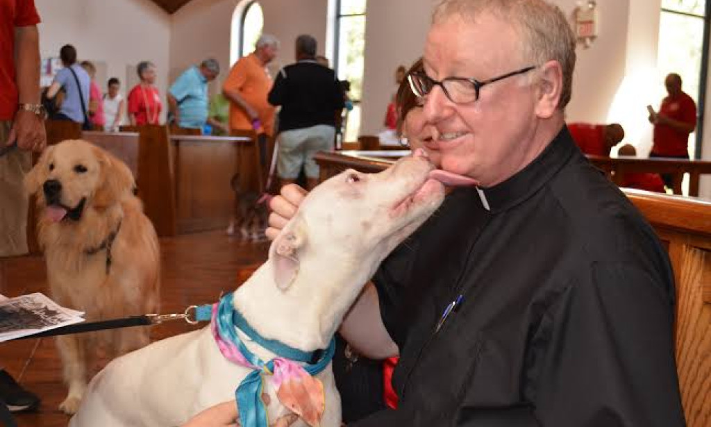 Animal Blessing: 2 Churches That Conduct Animal Blessing And Its Significance