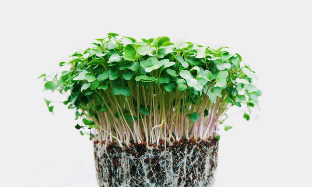 Advantage of organic chemistry