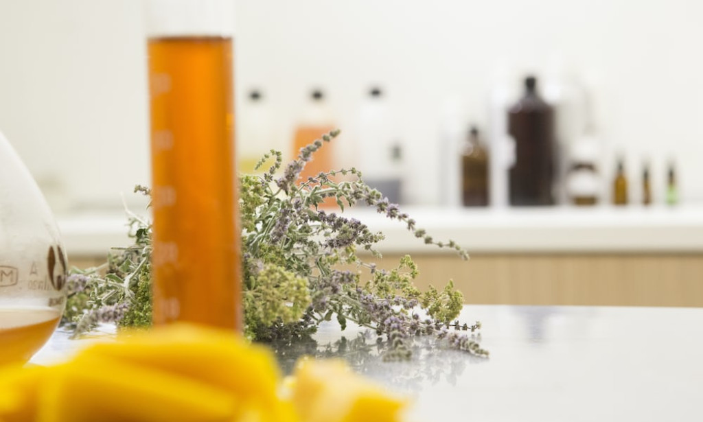 The live of Patrick Swayze