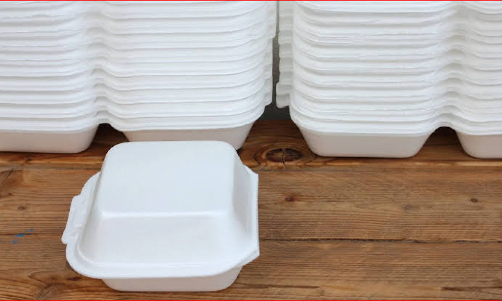 Lagos govt bans styrofoam, other plastics