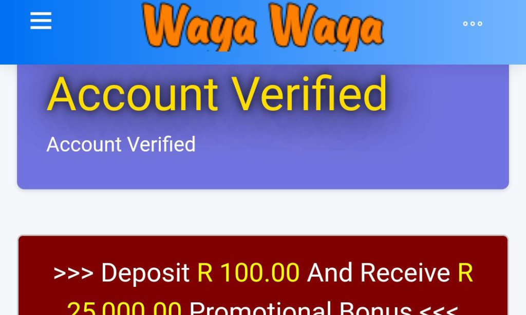 WayaWaya.store Review: Red Flags Abound, Avoid This Potential Scam