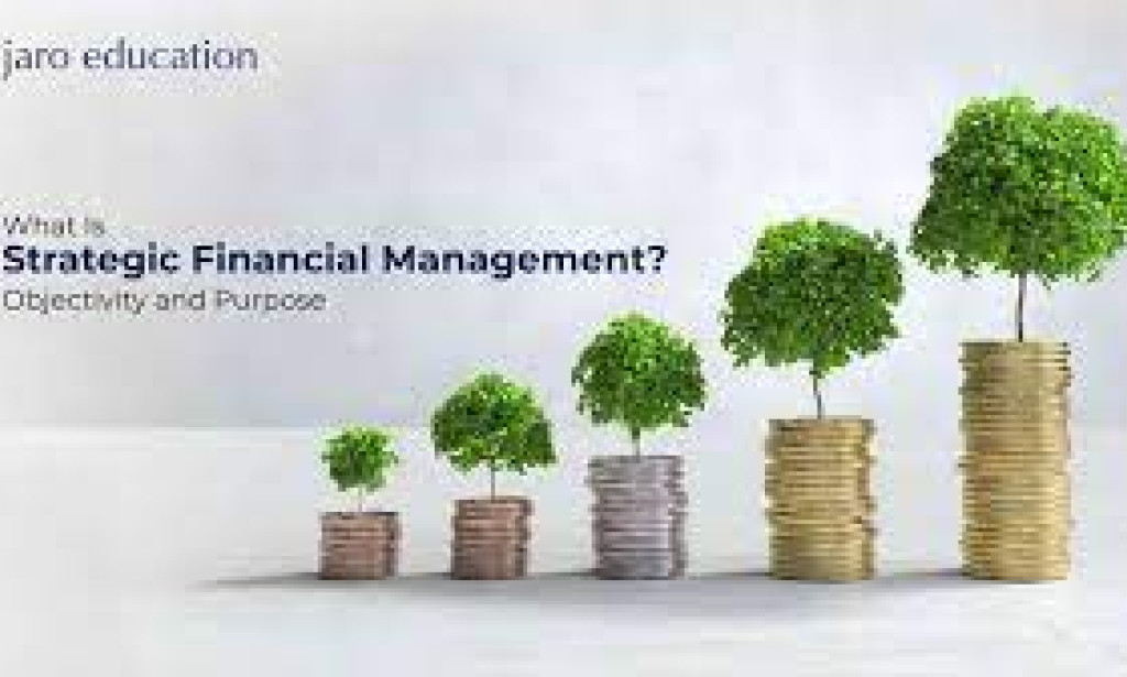 MASTERING FINANCIAL MANAGEMENT FOR SUCCESS