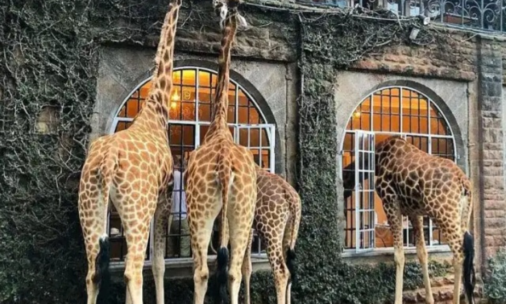 Best places to visit in Kenya