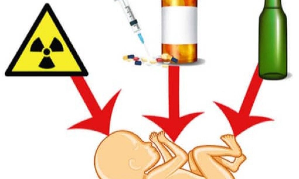 SAFEGUARDING PREGNANCY: A Guide to Understanding and Preventing Unborn Babies from Teratogenic Effects.