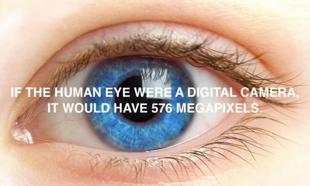 55 Mind-Blowing Facts That Will Make You The Cleverest Person in The Room