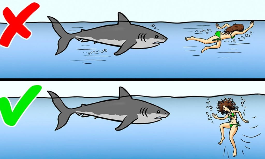 How to Escape & Survive Wild Animal Attacks - Ultimate Survival Guide