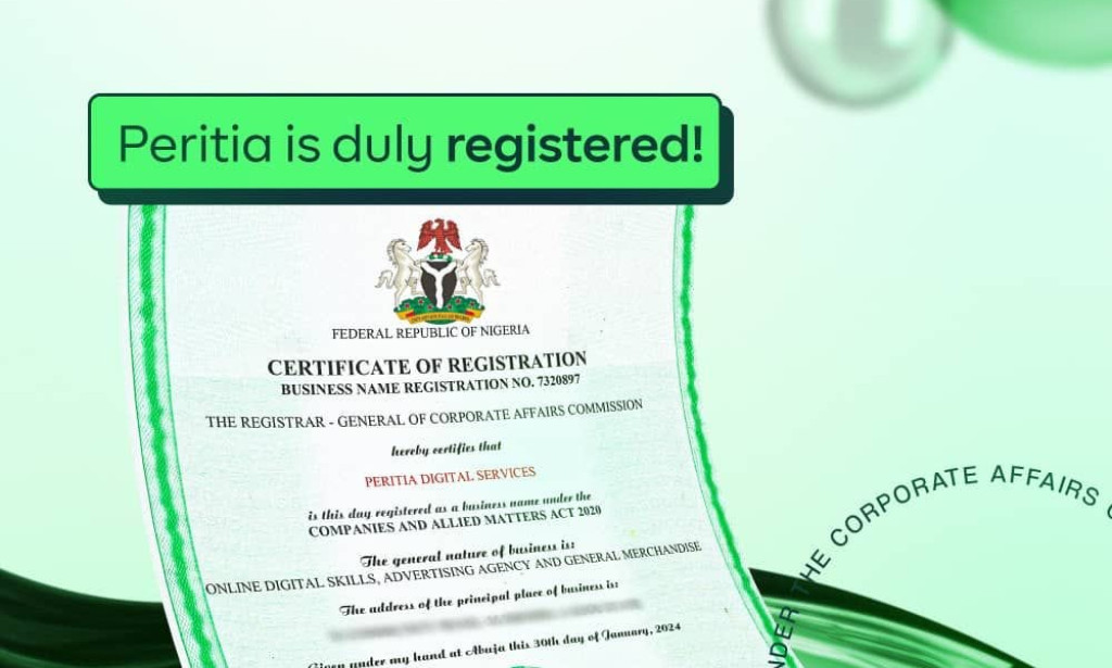 How to Make Millions from Home Using Social Media with Peritia